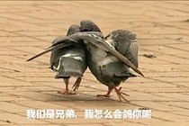命之聲