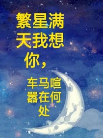 繁星满天我想你，车马喧嚣在何方