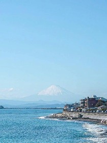 偏偏寒光恋骄阳