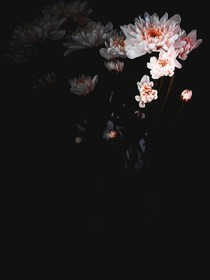 美人錄