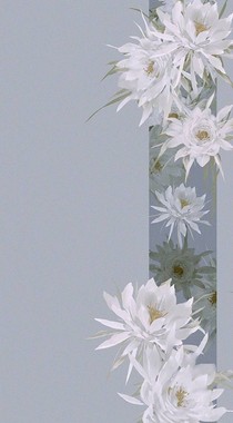 請別忘記我真誠的愛