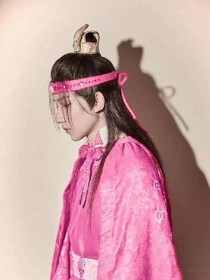 恋上王公子