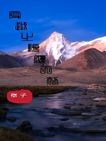 穿越之顺应天劫