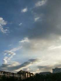 触及不到的梦