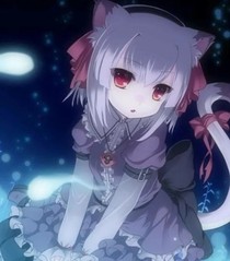 赛尔号:星雨星愿