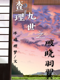 查理九世：破晓羽翼_d975