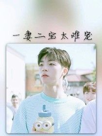一妻二宝太难宠