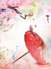 云惜歌