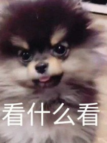 追星日记:心动百分百.