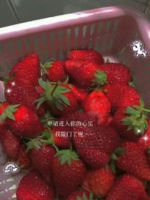 草莓：致女生时代的我们