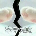 他恨她入骨：愿來世不認識你