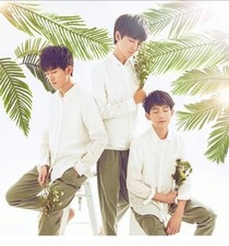 TFBOYS之成功之路