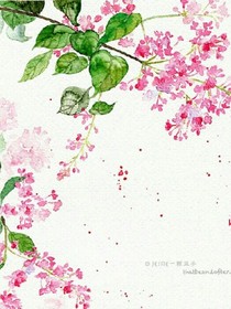 魔鬼恋人之时光不忘我和你