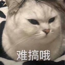 裴初念的沙雕日常