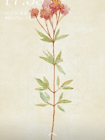 青之梅，竹之恋_d586
