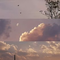 不会更丰富