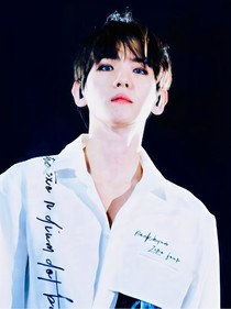 exo之特务小姐