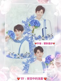 TF：夜空中的流星