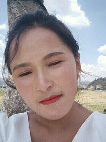 总裁的新宠