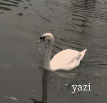 絕色校草請(qǐng)簽收