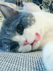 你曾是我全部的青春