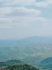 歲歲長相樂