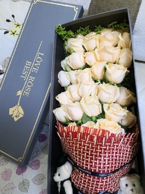 精灵梦叶罗丽之天使梦