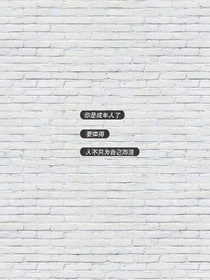 冷王爷与调皮王妃