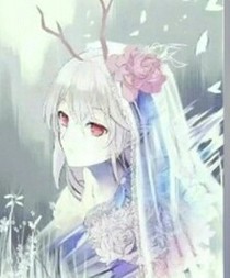 叶罗丽精灵梦之暗灵公主