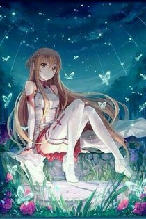 查理九世之可爱少女