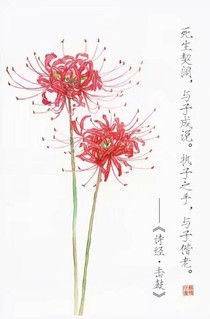 独宠一世