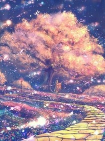 晴空彩虹再相见_d219