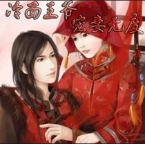 冷面王爷宠妻无度