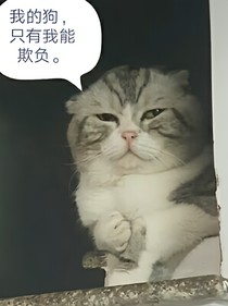 猫说生命像玻璃