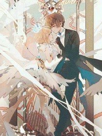 魔卡少女樱，小樱公主