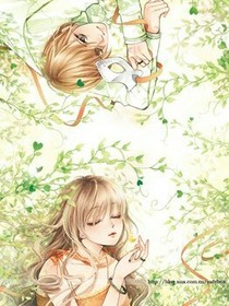 梨花帶宇