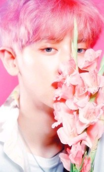 朴灿烈：心动PCY