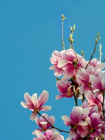 學(xué)霸跟學(xué)渣和學(xué)霸媽媽跟學(xué)渣媽媽的區(qū)別