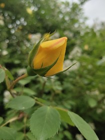六叔_d751_d977