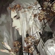 笛曦