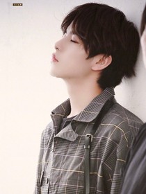 吹面不寒杨柳风
