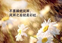 這不是我想要的