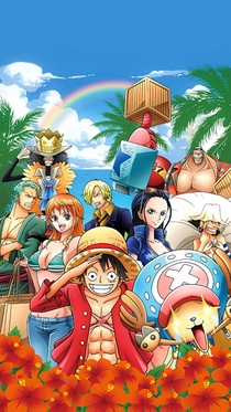 海贼王翻版