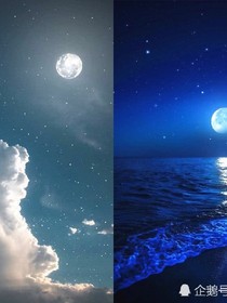 星空向恋