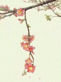 西风多少恨，吹不散眉弯