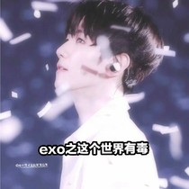 exo之这个世界有毒