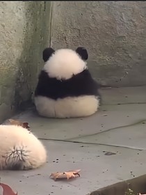 南南中學(xué)洗腳城不洗腳