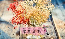 繁花之戀