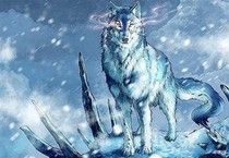 狼王梦：重生