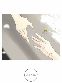 先生的貓